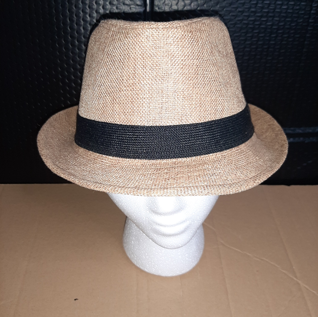 Light Fedora